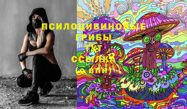 МДПВ Зерноград